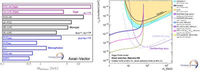 Future accelerator projects: new physics at the energy frontier